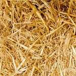 Juhuhu! Zagreb i povratak u našu slatku svakodnevnicu