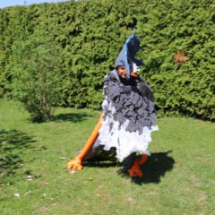 Allianz i zmaj s jednim krilom