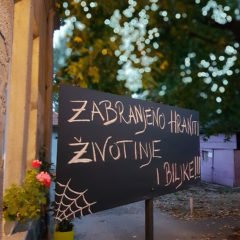 Pakosna priroda: rođendan koji jede svoju djecu