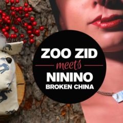 Zoo Zid meets Broken China