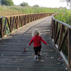 Baranja za klince: mlinovi, životinje i igra na otvorenom