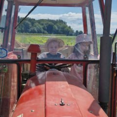 LabZab Eko kamp 2022. – berba, kukci i 100% zabava